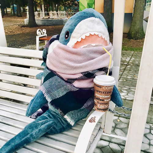 Ikea shark