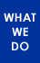 What We Do