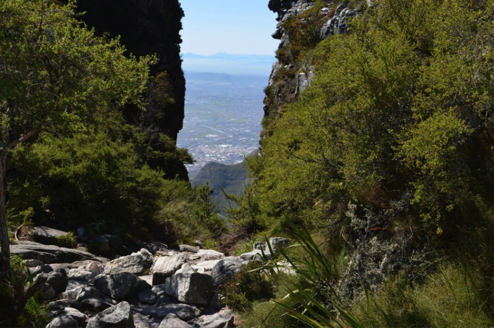 Up on Table Mountain